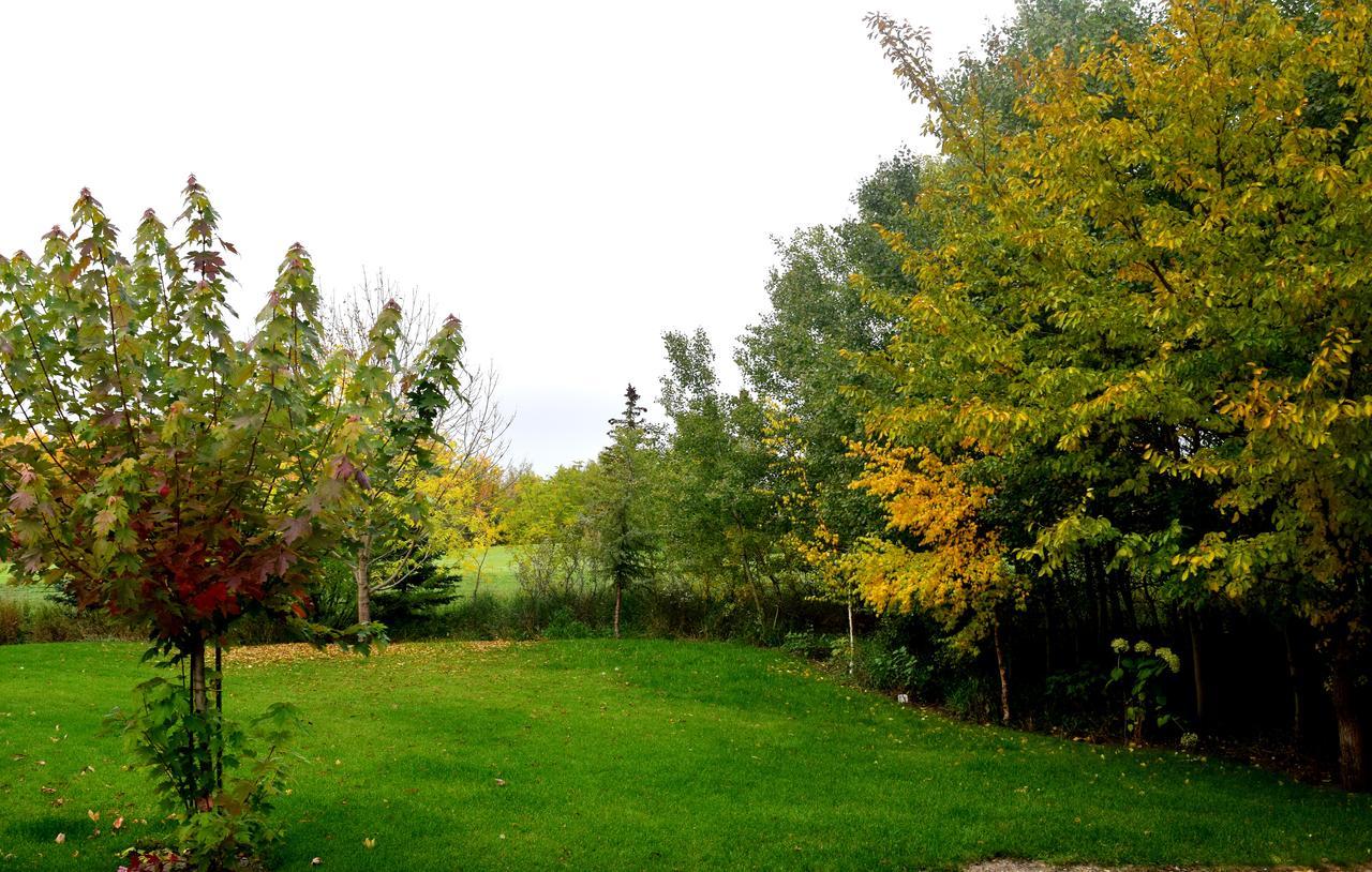 South Africa House Guest Lodge Wainwright ภายนอก รูปภาพ